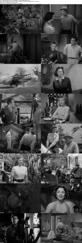 Blowing Wild 1953 720p BluRay x264-SADPANDA