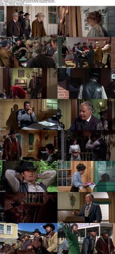 Support Your Local Sheriff 1969 iNTERNAL BDRip x264-LiBRARiANS