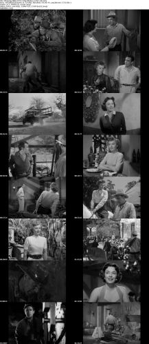 Blowing Wild 1953 720p BluRay x264 x0r