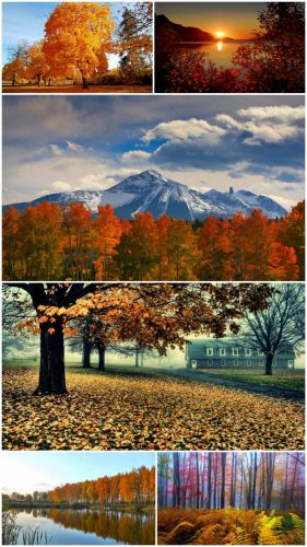 Fall scenery (Big Pack 4)
