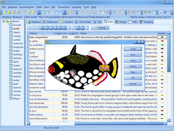 SQLite Expert Professional v4.0.0.536 (x86/x64) 
