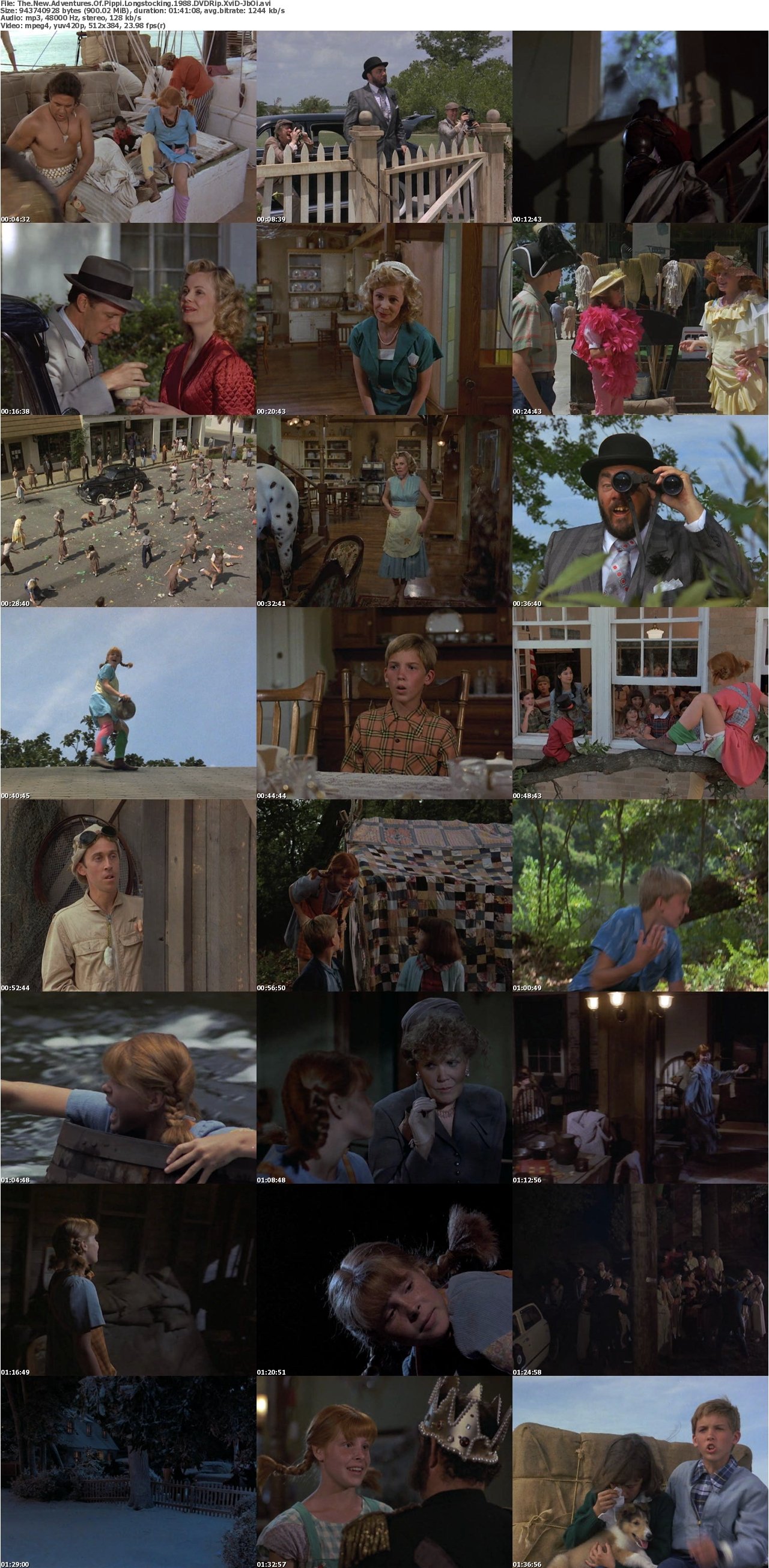 The New Adventures Of Pippi Longstocking 1988 DVDRip XviD-JbOi