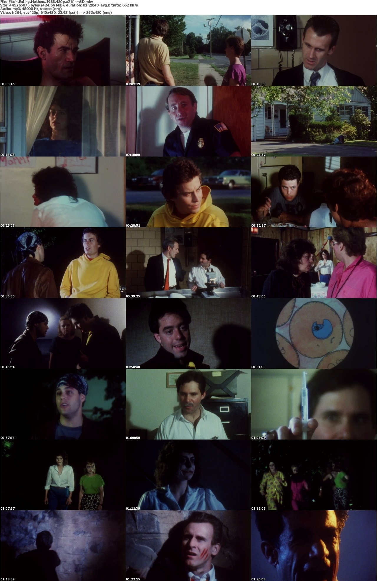 Flesh Eating Mothers 1988 480p x264-mSD