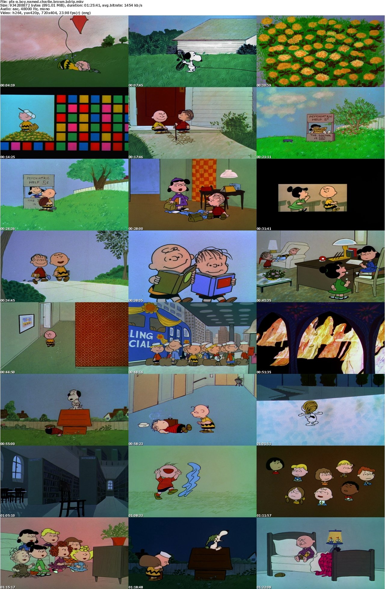 A Boy Named Charlie Brown 1969 iNTERNAL BDRip x264-PFa