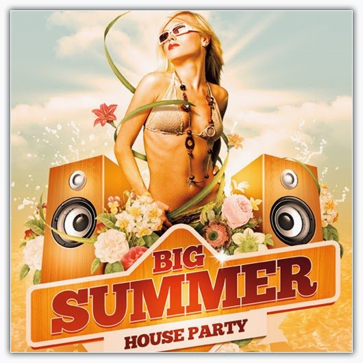 VA – Ladies Night Summer Dance, Vol.1 (2016)