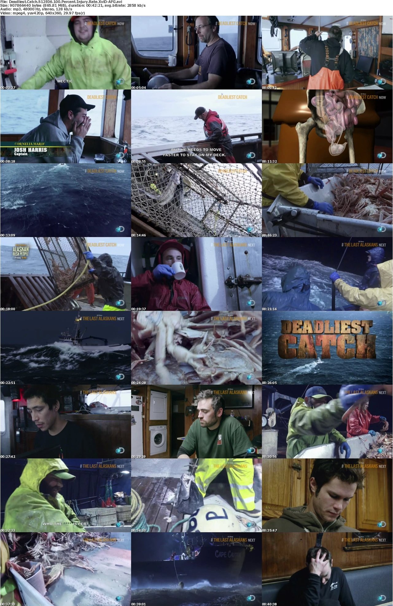 deadliest catch torrents free download Page: 2 search