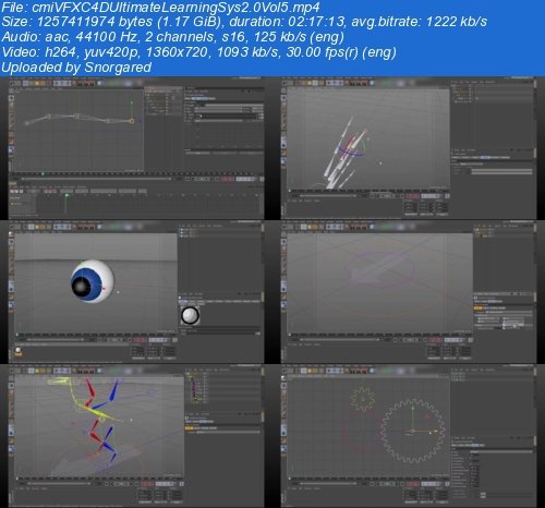 cmiFX - Cinema4D Ultimate Learning System 2.0 Vol 5: Rigging Techniques