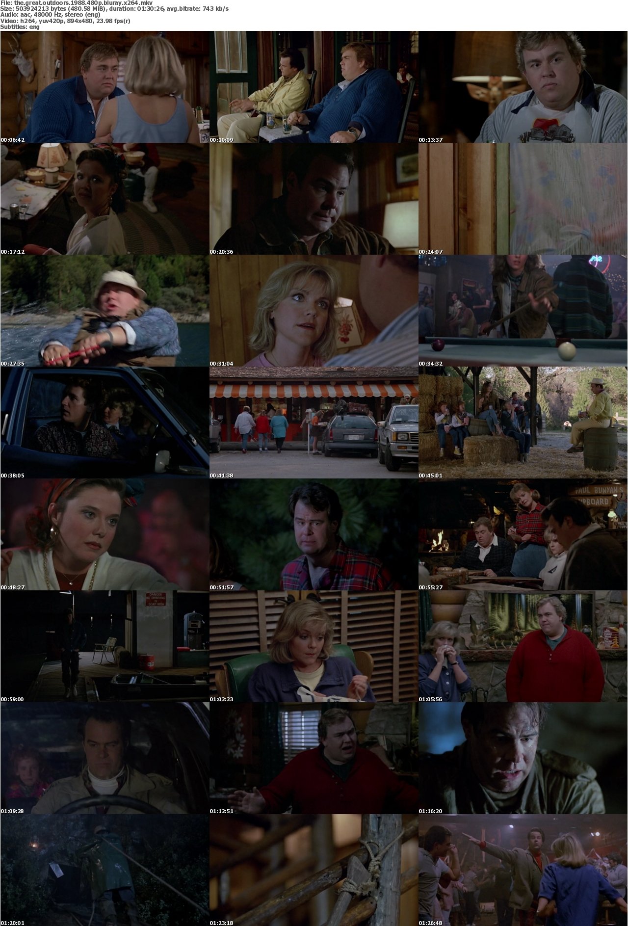 The Great Outdoors 1988 480p BluRay x264