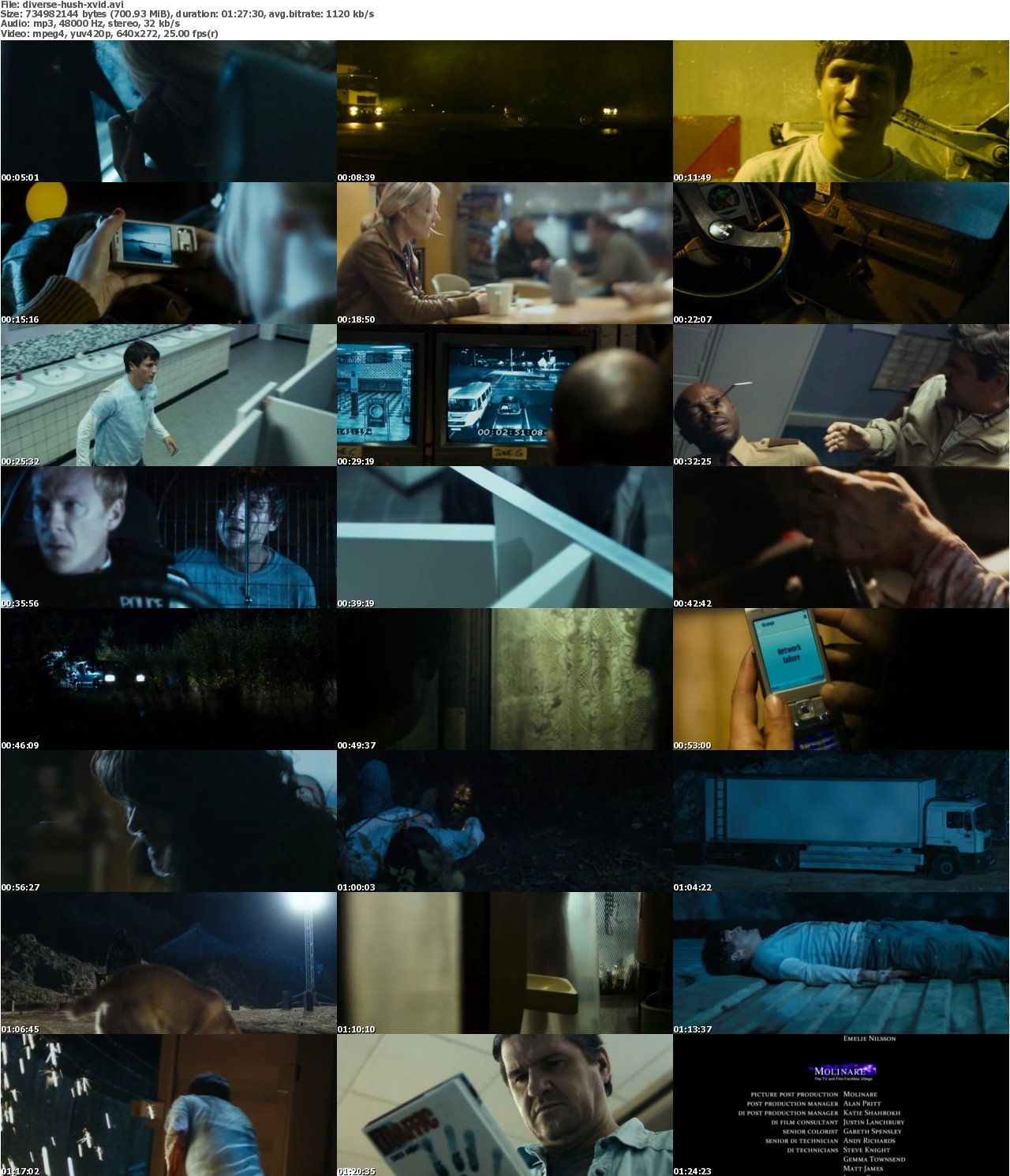 Hush 2008 DVDRip XviD-DiVERSE