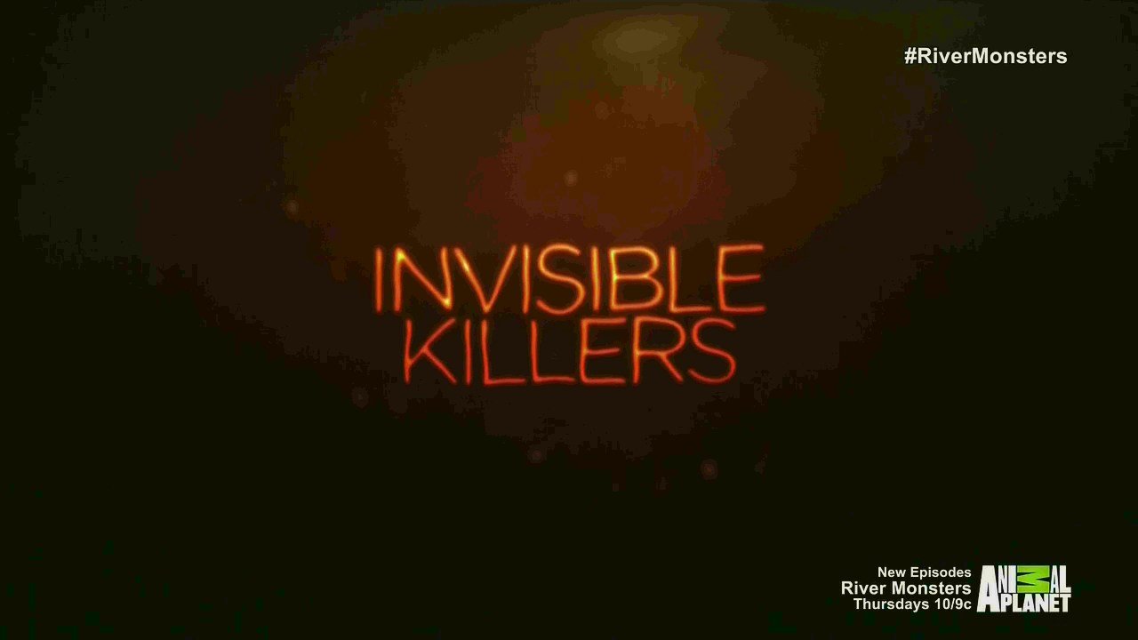 invisible monsters serial killers