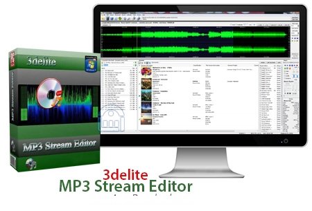 3delite MP3 Stream Editor 3.4.4.3263 Final