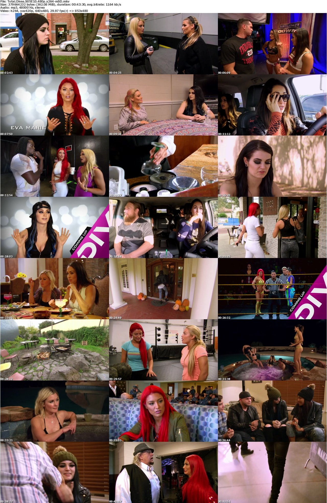 Total Divas S05E10 480p x264-mSD