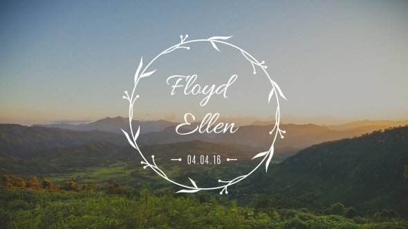 30 Wedding Titles - Project for After Effects (Videohive)