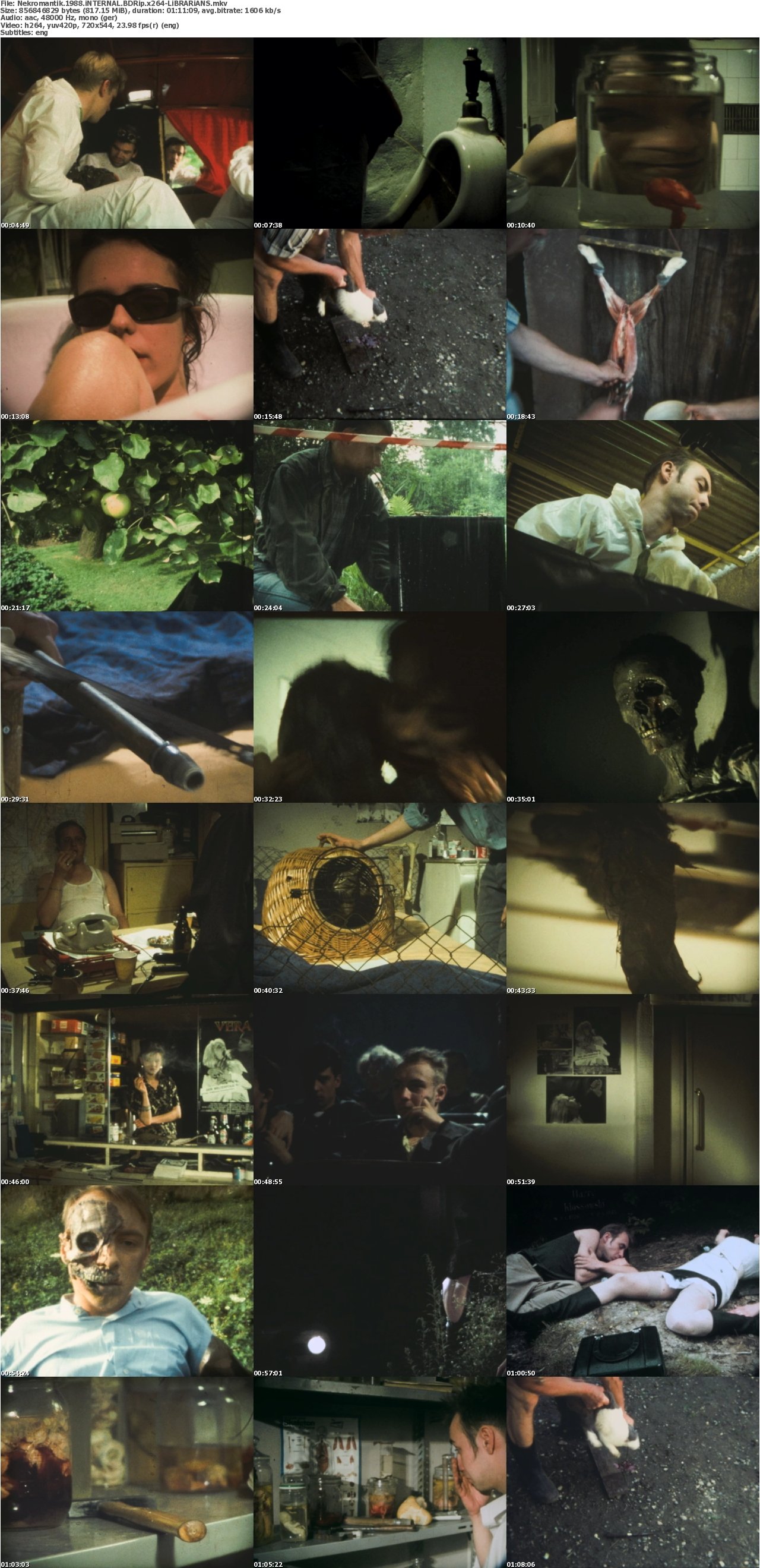 Nekromantik 1988 iNTERNAL BDRip x264-LiBRARiANS