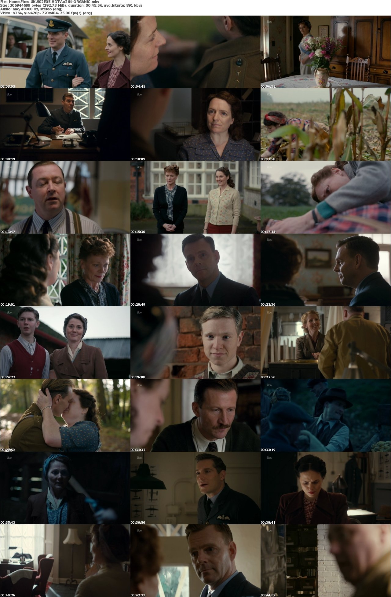 Home Fires UK S02E05 HDTV x264-ORGANiC