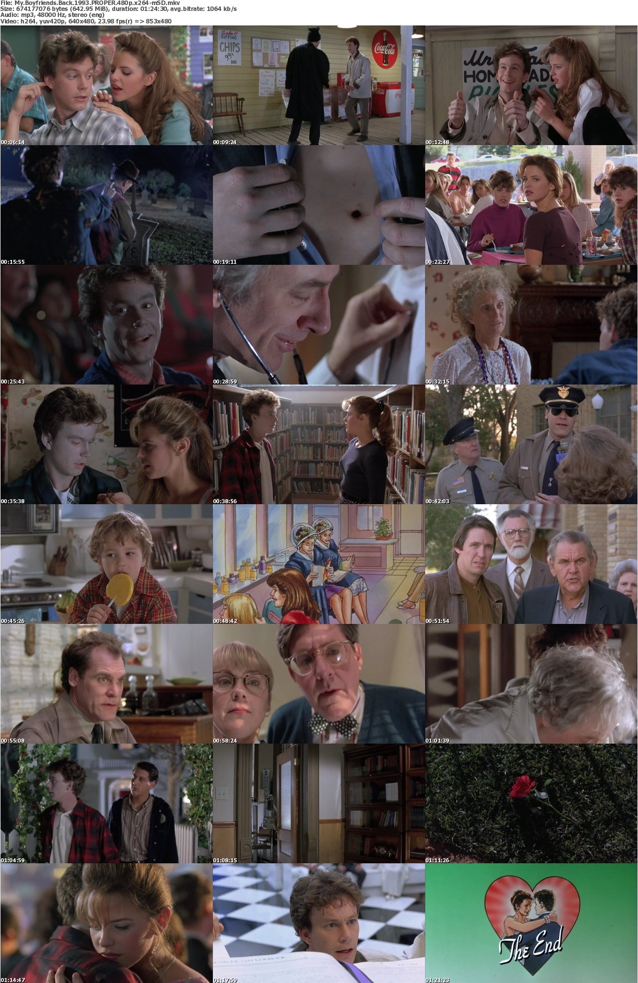 My Boyfriends Back 1993 PROPER 480p x264-mSD