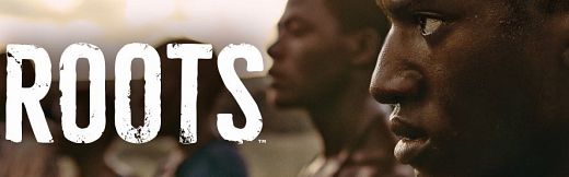 Roots 2016 Part 1 HDTV x264-FLEET