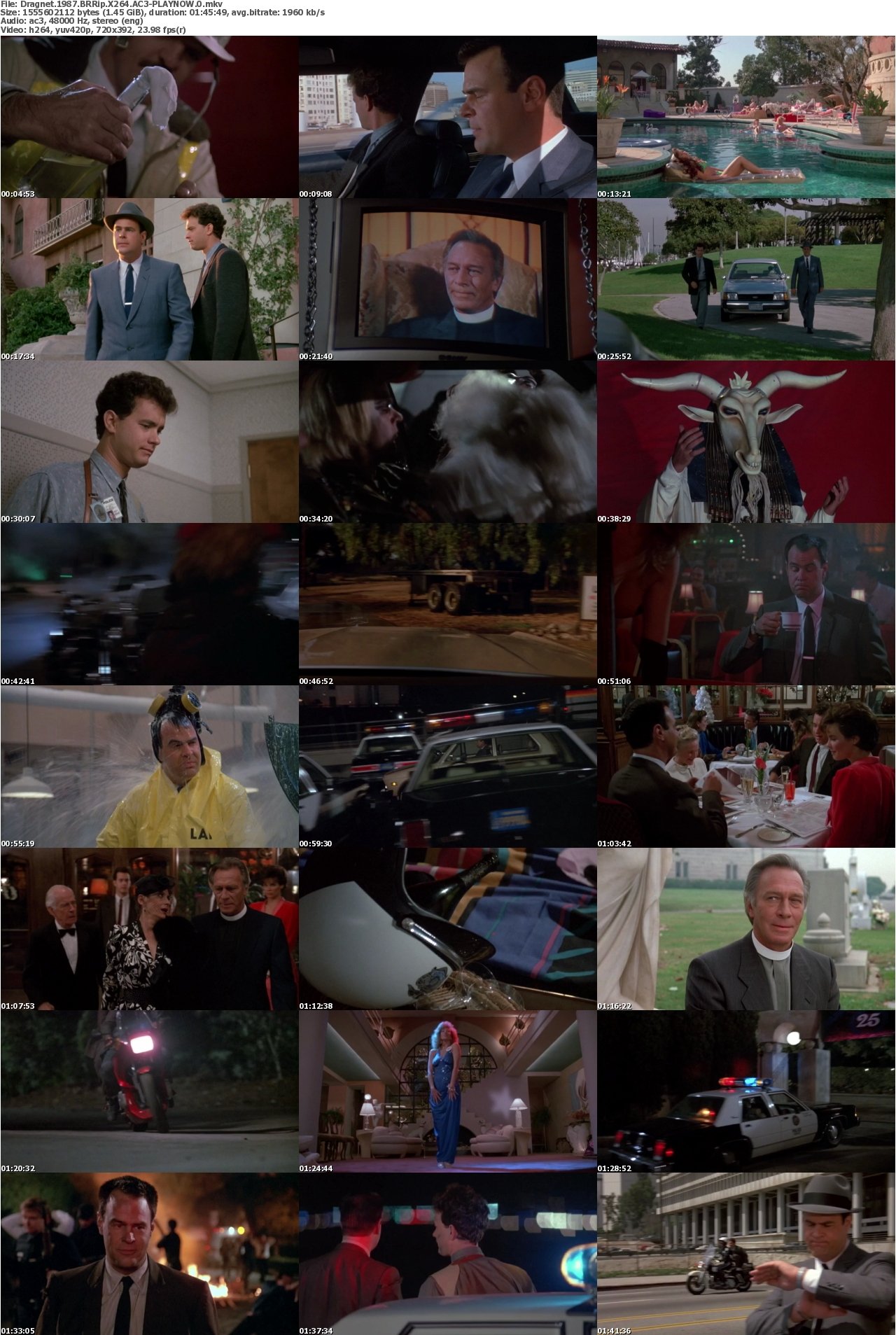Dragnet 1987 BRRip X264 AC3-PLAYNOW