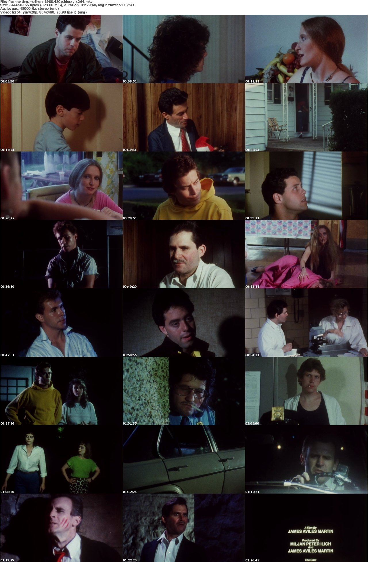 Flesh Eating Mothers 1988 480p BluRay x264