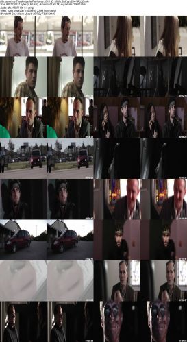 The Amityville Playhouse 2015 3D 1080p BluRay x264-VALUE