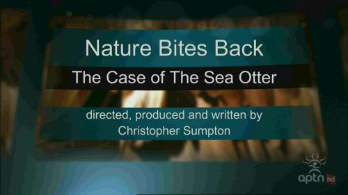 CBC The Nature of Things - Nature Bites Back: The Case of the Sea Otter (2005) 720p HDTV x264-aAF
