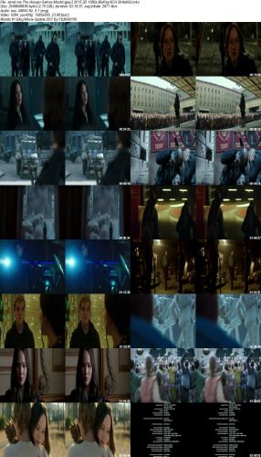 The Hunger Games Mockingjay Part 2 2015 3D 1080p BRRip x264-ShAaNiG