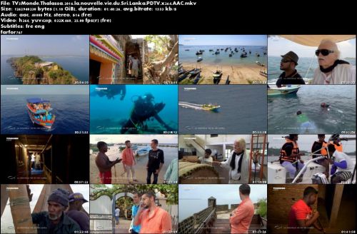 TV5Monde Thalassa - La nouvelle vie du Sri Lanka (2016) PDTV x264 AAC-Mvgroup