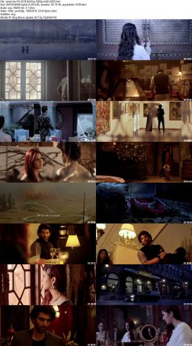 Fitoor 2016 BluRay 1080p mHD x264 ESubs DDR