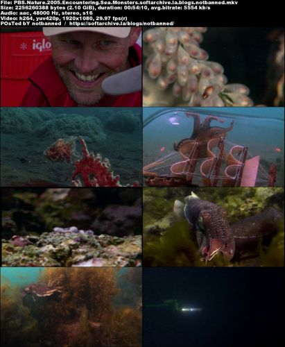 PBS - Nature: Encountering Sea Monsters (2005) 720p HDTV x264-MVGroup