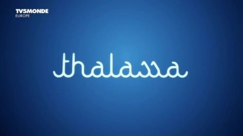 TV5Monde Thalassa - La nouvelle vie du Sri Lanka (2016) PDTV x264 AAC-Mvgroup