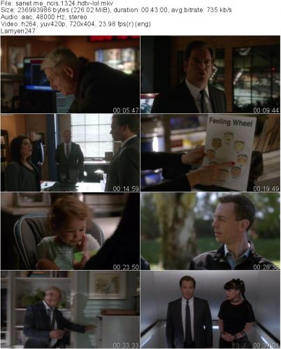 NCIS S13E24 HDTV x264-LOL
