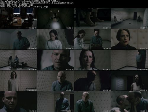 Penny Dreadful S03E04 HDTV x264-FLEET