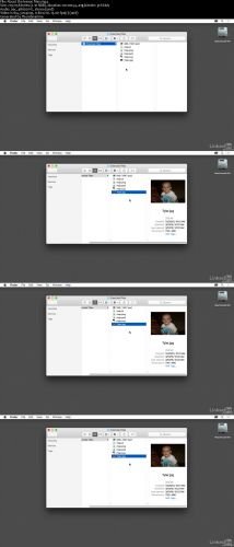 Creating Optimized Web Graphics