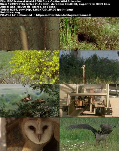 BBC Natural World - Cork: On the Wild Side (2008) 720p HDTV x264-MVGroup
