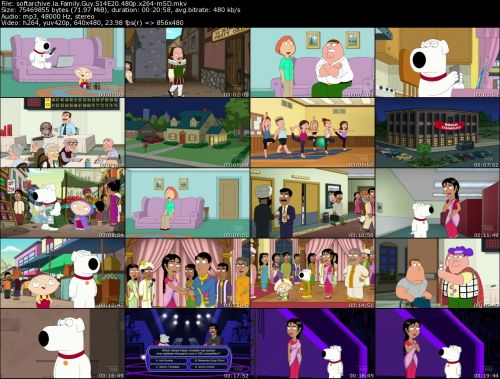Family Guy S14E20 480p x264-mSD