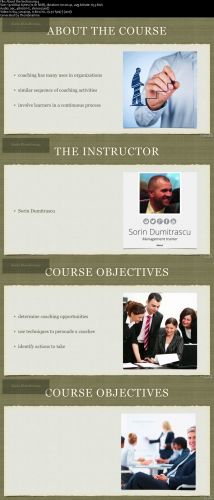 Executive Coaching and Business Case Development