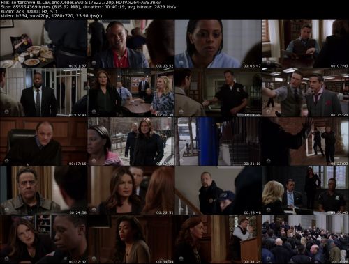 Law and Order SVU S17E22 720p HDTV x264-AVS