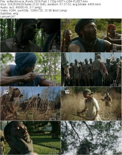 Roots 2016 Part 1 720p HDTV x264-FLEET