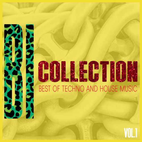 VA - BI-Collection, Vol. 1 - Best of Techno and House (2016)