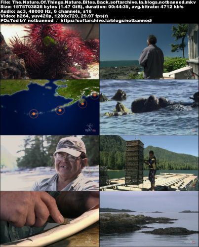 CBC The Nature of Things - Nature Bites Back: The Case of the Sea Otter (2005) 720p HDTV x264-aAF