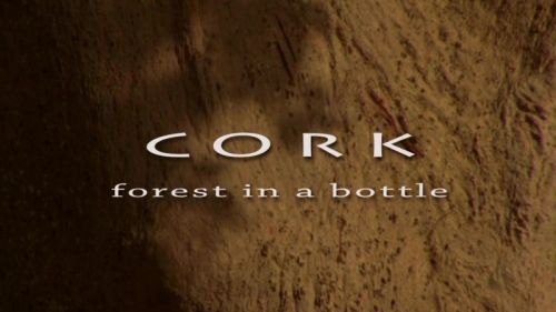 BBC Natural World - Cork: On the Wild Side (2008) 720p HDTV x264-MVGroup