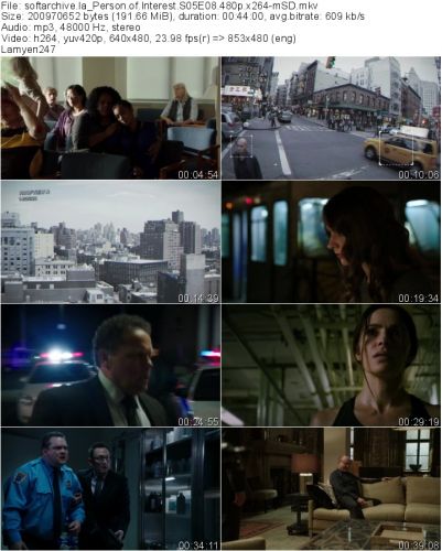 Person of Interest S05E08 480p x264-mSD
