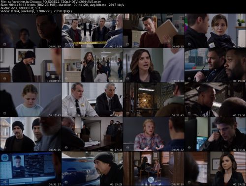 Chicago PD S03E22 720p HDTV x264-AVS