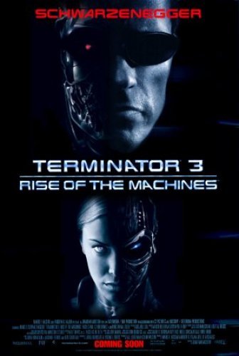 Terminator 3 Rise of the Machines 2003 BDRip x264 AC3 RoSubbed-playSD
