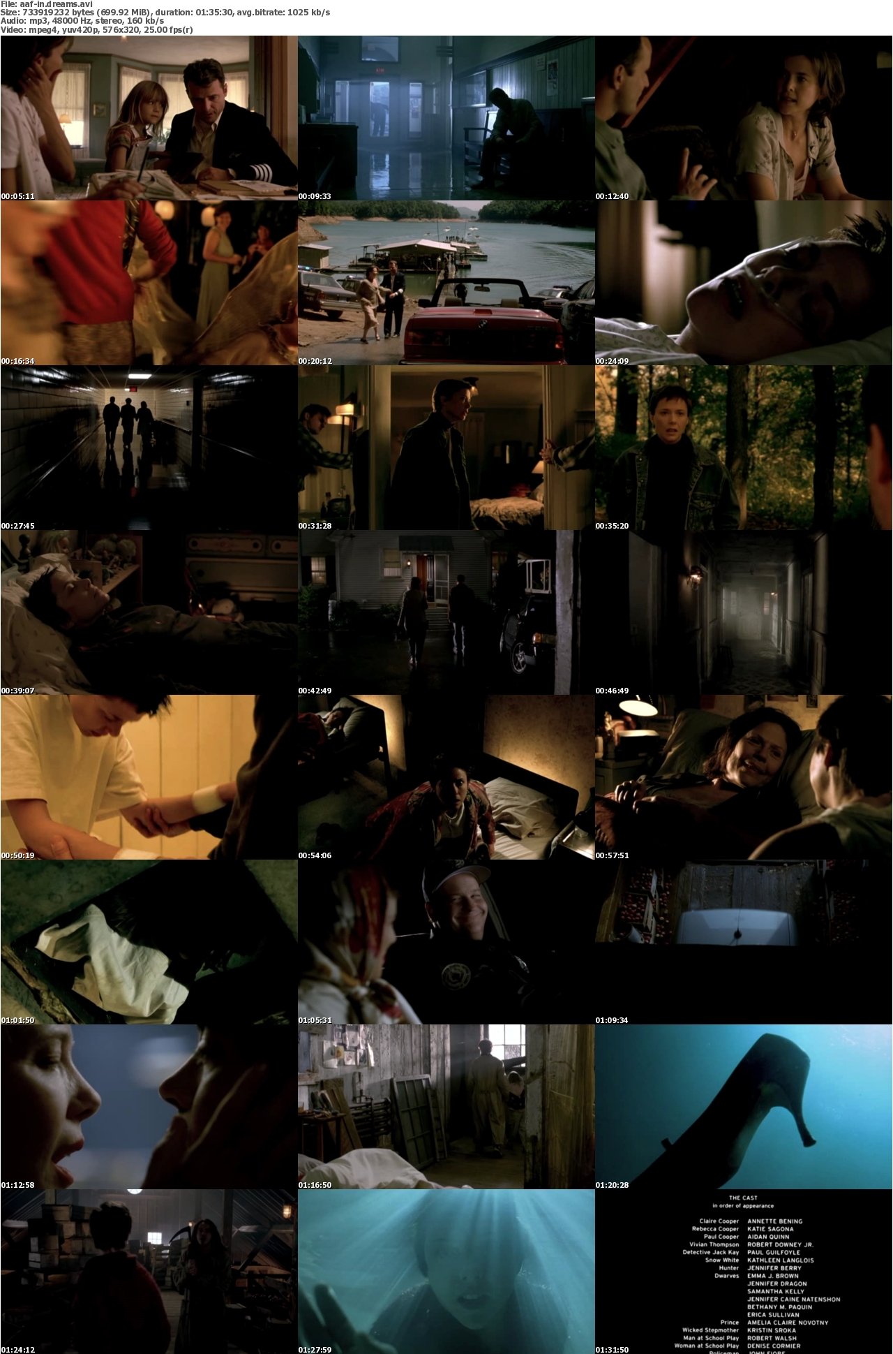 In Dreams 1999 iNTERNAL DVDRip XviD-aAF