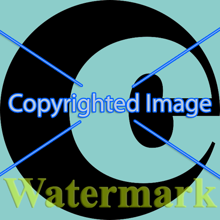 Portable Copyright2Image 4.4
