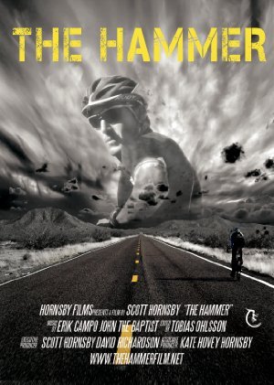 The Hammer (2016) 720p WEB-DL 550MB - MkvCage