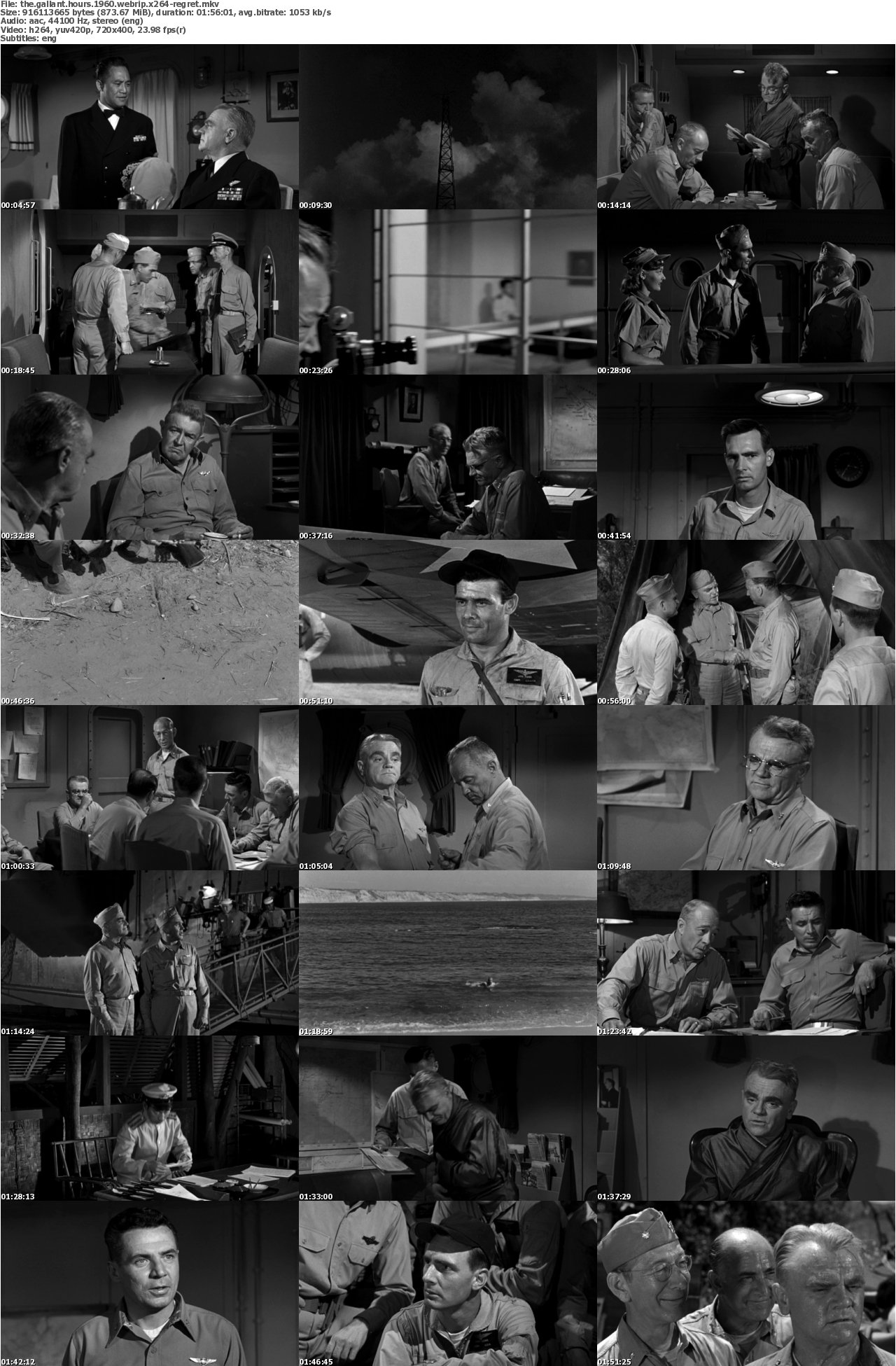The Gallant Hours 1960 WEBRip x264-REGRET