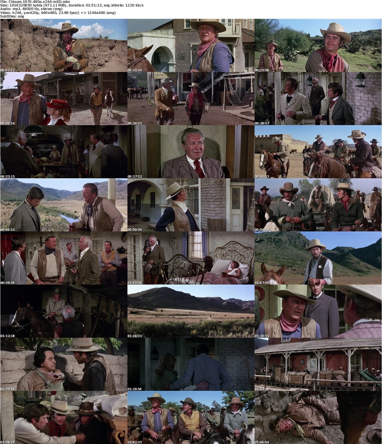 Chisum 1970 480p x264-mSD