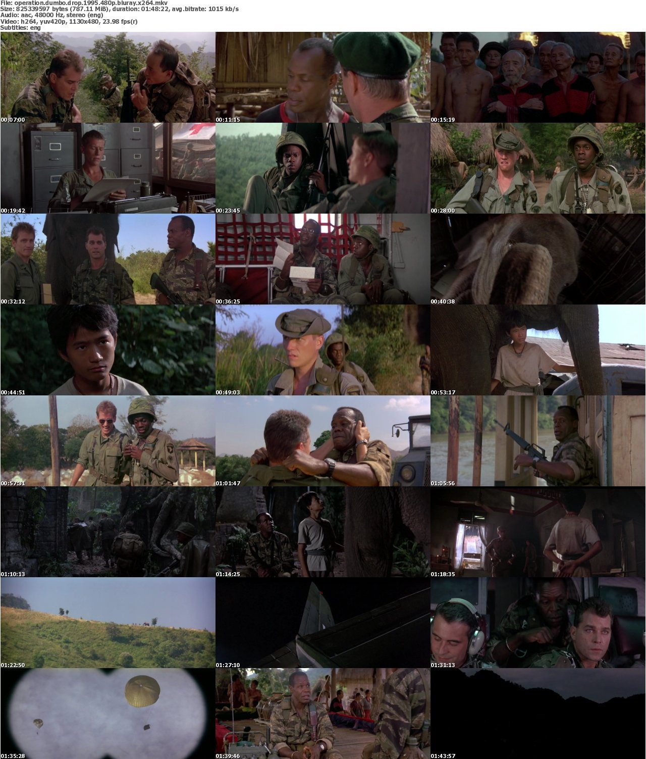 Operation Dumbo Drop 1995 480p BluRay x264